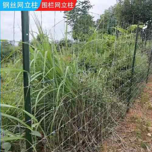 养殖围栏立柱尖头实心牛栏三角养鸡护栏Y型圈地立杆加厚防护网