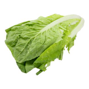 湖北农家自种散叶白菜新鲜蔬菜霜冻散叶白菜绿叶菜软叶白菜500g