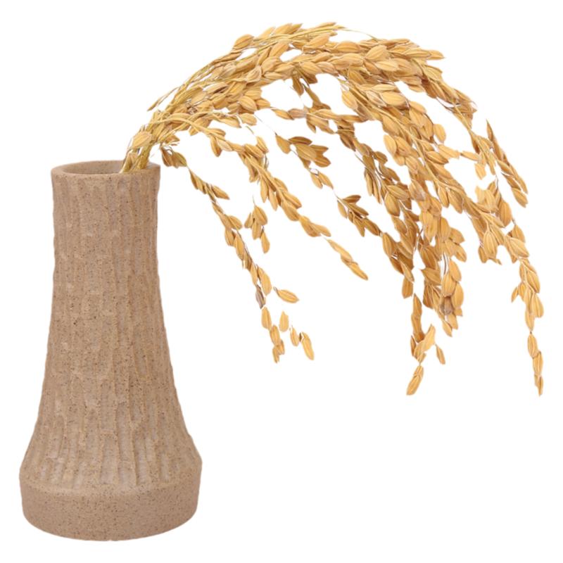 稻穗干花农家糯稻穗真实糯稻杆