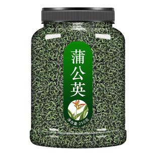 蒲公英茶中药材正品特级东北野生婆婆丁新鲜凉茶新鲜养生茶的作用