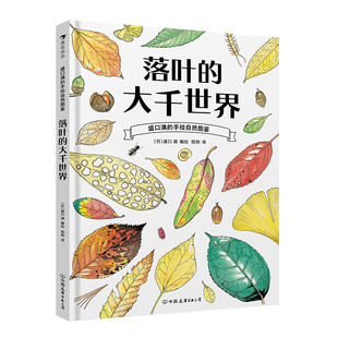 浪花朵朵正版现货 盛口满的手绘自然图鉴 落叶的大千世界 7-10岁 落叶植物 日本童书研究会 科普百科绘本 后浪童书