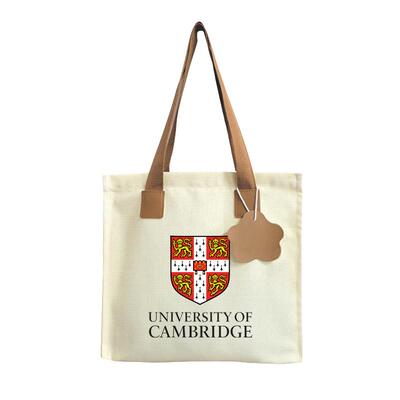剑桥大学等名校纪念帆布包