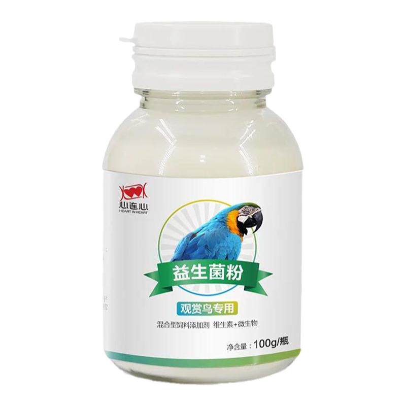 鹦鹉鸟用益生菌调理肠道心连心