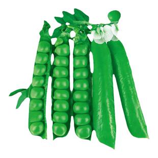 甜豌豆种子种籽甜脆豌豆苗种碗豌豆种甜豆种冬季四季豆长寿豆仁荚