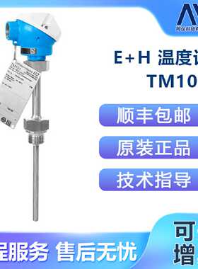 议价EH 温度计 TM101-8769/139，TM101-2E39/0 现货