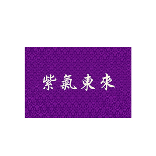 紫色入户门地垫进门口防滑耐脏脚垫家用玄关门厅除尘定制风水地毯