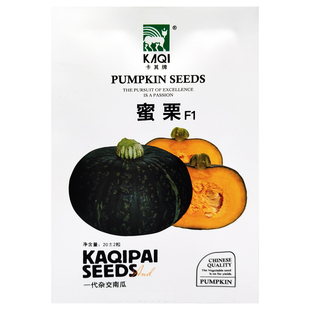 南瓜种子奶油小南瓜种籽板栗南瓜香芋南瓜种子贝贝南瓜蜜本甜南瓜