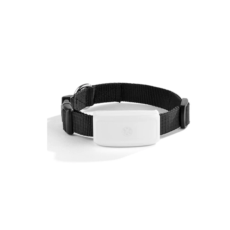 WIFI+GPS+LBS позиционирование адсорбция и зарядка TK911 GPS-tracker для кошек и собак