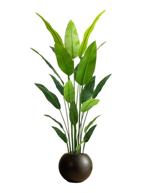美人蕉仿真绿植高端轻奢天堂鸟