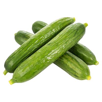 荷兰水果黄瓜种子苗夏季盆栽秧秋青瓜小蔬菜种籽本地高产嫁接秧苗