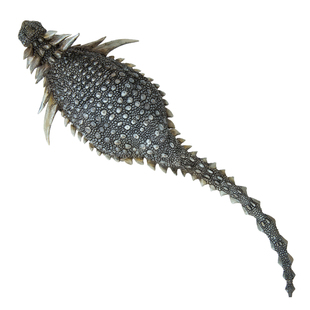 PNSO蜥结龙艾萨克恐龙大王成长陪伴模型38