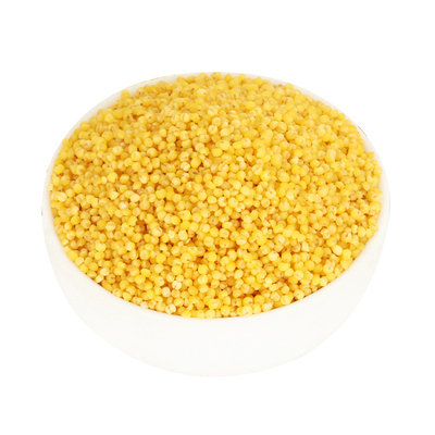 正宗山西黄小米新鲜小米色泽金黄软糯米油香醇5斤装原产地直发