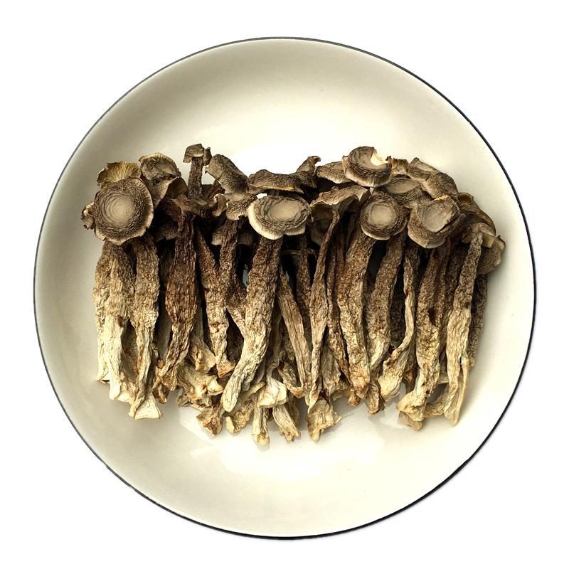 鹿茸菇干货鹿茸菌土特产鹿松茸菇