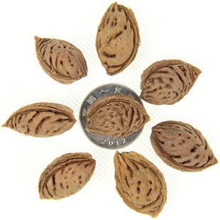 毛桃种子毛桃树种子毛桃核山杏子树桃树种子山桃种子可做嫁接果树