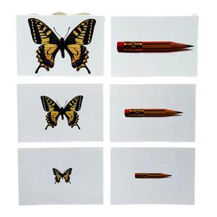 大小高矮长短比较卡片式自孤独症康复训练儿童早教认知益智玩具