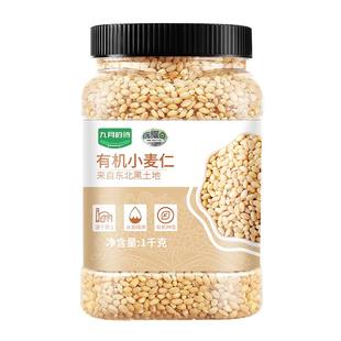 九月的诗有机小麦仁米1000g*1罐去皮脱皮全谷物胚芽五谷杂粮粥