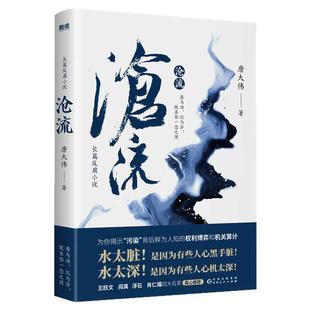 沧流 唐大伟 一起蹊跷的纵火案,意外揭开了清凌市的重大环境污染问题 官场小说
