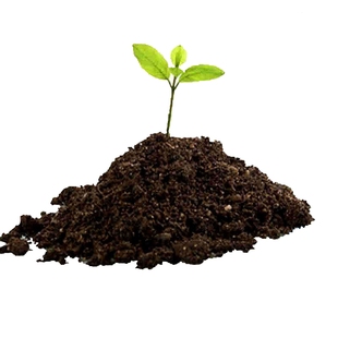 松针腐叶土腐熟腐殖土天然有机营养土养花种菜通用型透气腐叶种植