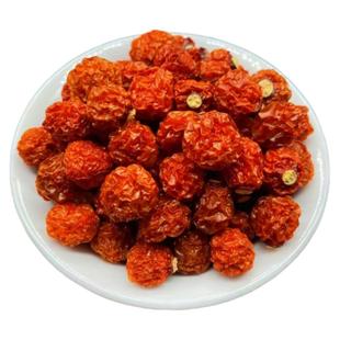 锦灯笼果 中药材红姑娘子 东北红菇娘果灯笼酸浆果姑鸟洛神珠果非