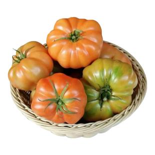 顺丰包邮新鲜番茄云南老品种丑番茄孕妇生熟两吃狮子头马蹄西红柿