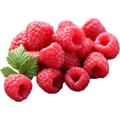 虹越黄黑树莓苗覆盆子多腺