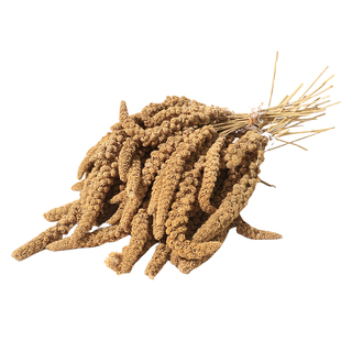 鹦鹉磨牙棒谷穗零食啃咬小米学吃断奶奖励虎皮玄凤专用天然鸟饲料