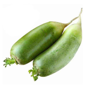 冰糖水果萝卜种子种籽子天津沙窝甜脆潍县罗卜籽种青四季孑糖心