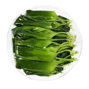 0脂低卡宁德市霞浦县盐渍海带嫩苗火锅食材火锅凉拌批发