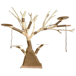 实木猫爬架耐磨不粘毛防腐原木枯树干大型猫窝网红猫爬树宠物跳台