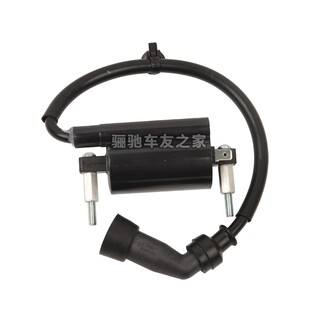GW250/DL250/GSX250R/DR300/XCR300/TR300原厂高压包左右点火线圈