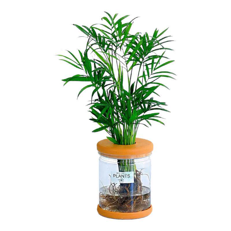 亚克力透明水培小花瓶绿植盆栽
