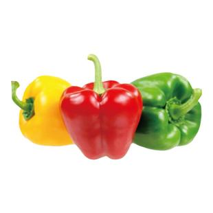 【老一生鲜】新鲜红黄绿彩椒甜椒圆椒柿子椒灯笼椒 3只装/约550g