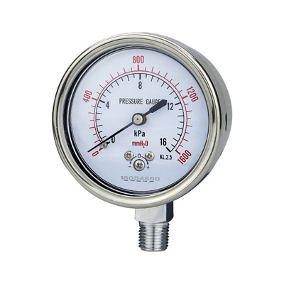 膜盒压力表天然气保护型