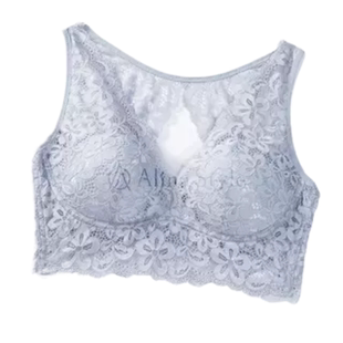 大林子Alina Style日本新款洛蝶美背镂空内衣女聚拢透气无钢圈T女