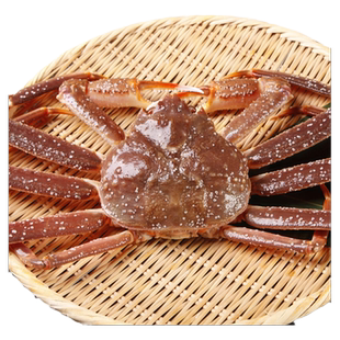 松叶蟹鲜活冷冻长脚蟹特大螃蟹海鲜帝王蟹生冻长腿俄罗斯雪蟹板蟹