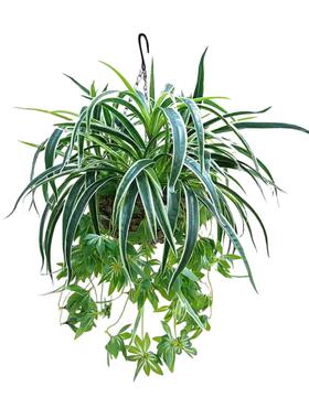 仿真绿植吊兰盆栽客厅垂吊悬挂
