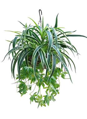 仿真绿植吊兰盆栽客厅垂吊悬挂