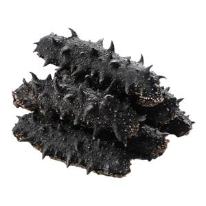 传统日晒淡干海参干货深海野生底播正品刺参旗舰店高泡发500g