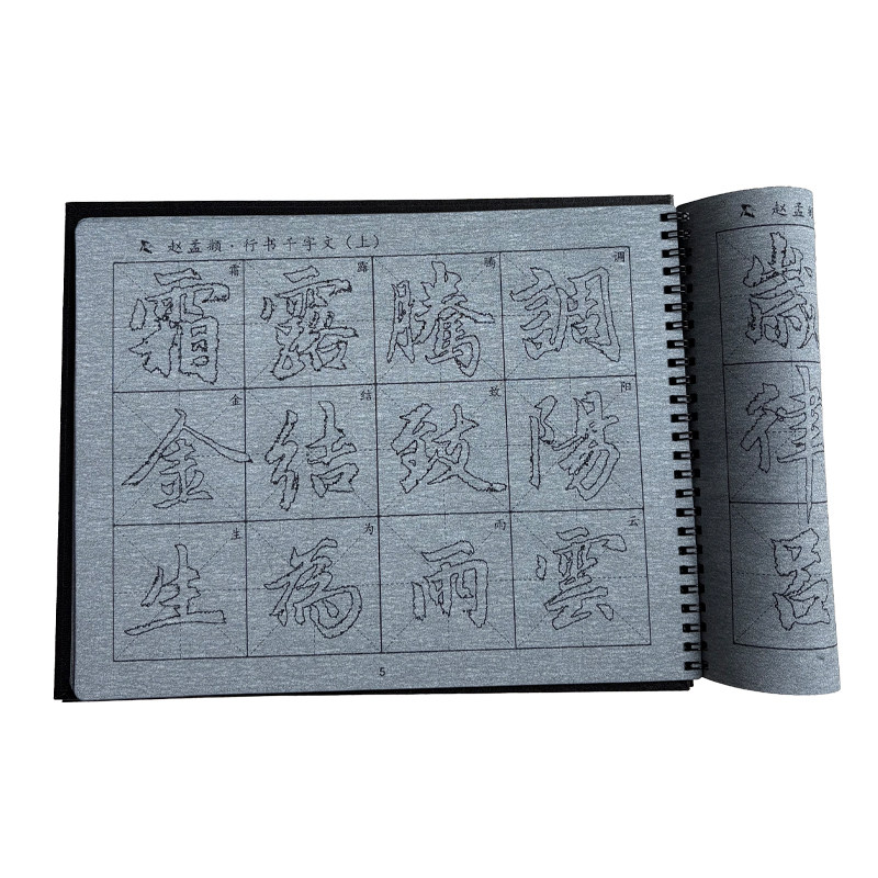 赵孟頫行书千字文毛笔字帖水写布