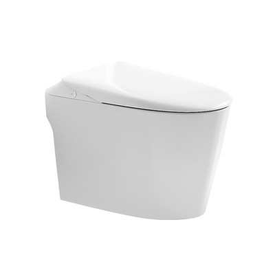 大白轻智能马桶无水压限制小户型