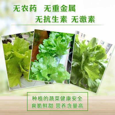 空中花园无土栽培水培营养液阳台蔬菜生菜植物专用水耕水溶肥料