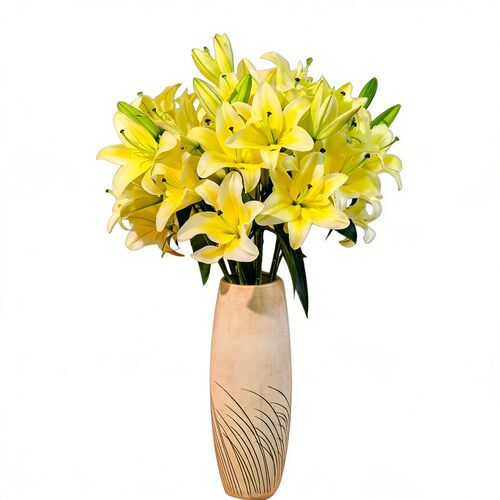 黄天霸百合花小雏菊鲜花黄色重瓣香水百合顺丰次日达插瓶水养花卉