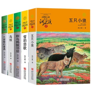 正版 沈石溪动物小说书系 五只小狼+雪豹悲歌+和乌鸦做邻居+鸟奴+一只猎雕的遭遇者童文学小学生课外阅读物故事凤凰新华书店旗舰店