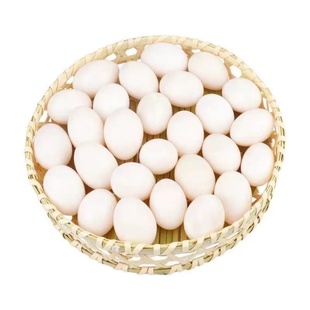 沂蒙山新鲜鸽子蛋60枚1410克纯粮散养鸽蛋孕妇宝宝辅食30枚顺丰包