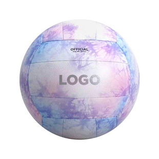 LIDAK排球中考学生专用软式硬排初中小学生体育考试比赛5号气排球