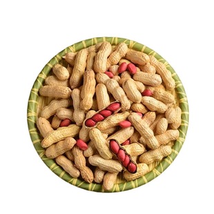 东北新货四粒红红皮带壳花生5斤新鲜现挖农家自种红皮花生米 原味