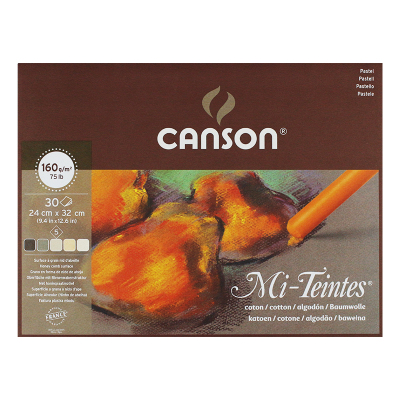 CANSON/康颂蜜丹粉笔画灰色粉纸