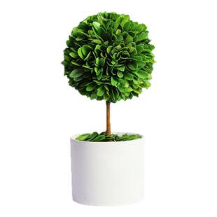 打工人稳定上班情绪神器工位解压植物小摆件办公室桌面绿植装饰品