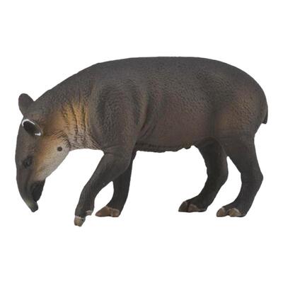 顺丰包邮【88596中美貘】CollectA官方授权正版动物模型早教玩具