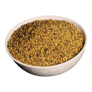新鲜芥末籽芥末子粒芥子芥菜籽黄芥子黄芥末粒芥末面芥末籽自留种